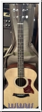Taylor 114  mit Gigbag