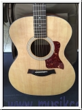 Taylor 114  mit Gigbag