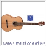 Miguel J. Almeria Konzertgitarre 10-C Premium 4/4 Groesse, massi