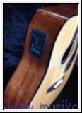 Breedlove Retro D/SMe   Acoustic-Electric Guitar  mit Koffer