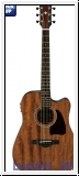Ibanez AW54CE-OPN Open Pore Natural
