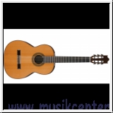 Ibanez G 500 NT Konzertgitarre