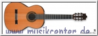 Ibanez G 500 NT Konzertgitarre