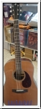 Breedlove Cascade Revival CRDCRE - Ladendemo