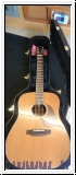 Breedlove Cascade Revival CRDCRE - Ladendemo