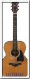 Ibanez AVC11-ANS ANTIQUE NATURAL SEMI GLOSS THERMO AGED