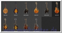 Ortega Mandolinen Lieferübersicht
