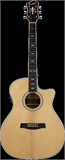 HAGSTROM Siljan II Grand Auditorium Cutaway Natural