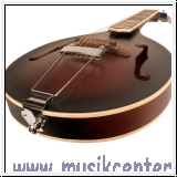 Gold Tone A-6 Gitarren-Mandoline A-Stil Korpus, mit Softbag