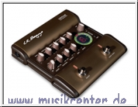 L.R.Baggs Venue DI Pedal