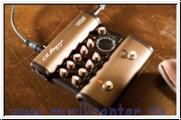 L.R.Baggs Venue DI Pedal