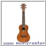 Islander MSC4 vollmassive Konzertukulele