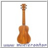 Islander MSC4 vollmassive Konzertukulele