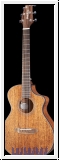 BREEDLOVE WWT11CES Westerngitarre, Organic Wildwood,