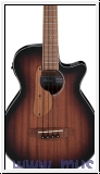 Ibanez  AEGB24E-MHS Akustikbass