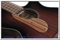 Ibanez  AEGB24E-MHS Akustikbass
