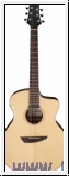 Ibanez  PA300E-NSL Akustikgitarre 6 String - Natural Satin Top /