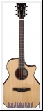 Ibanez AE410-LGS Platinum Collection Akustikgitarre 6 String - N
