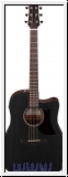 Ibanez  AAD190CE WKH