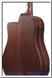 Ibanez  AAD190CE WKH