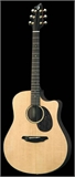 Breedlove Atlas Dreadnaught/C Brad 25 SM