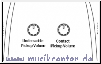 Ibanez AWFS580CE-OPS Fingerstyle Serie