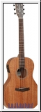 Tanglewood TW3E Winterleaf mit Koffer