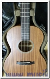 Tanglewood TW3E Winterleaf mit Koffer