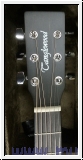Tanglewood TW3E Winterleaf mit Koffer