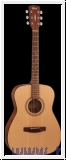 CORT AF505 Easy Play, Open Pore, Westerngitarre