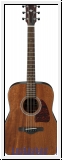 Ibanez AW54-OPN Open Pore Natural