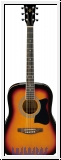 Ibanez V50NJP-VS Jam Pack