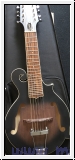 Gold Tone F12 12-Saiter Gitarren-Mandoline mit F-Stil Korpus, To