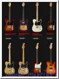 G&L E-Gitarren Lieferübersicht, Preis und Lieferzeit auf Anfrage