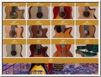 Stanford Gitarren Lieferübersicht, Preis und Lieferzeit auf Anfr