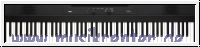 KORG Digitalpiano, Liano, 8 Watt, USB, metallic grey limitiert