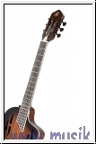 Ortega RTPDLX-ACA  TourPlayer DeLuxe Nylon String Gitarre 6 Stri