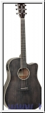 Tanglewood TW5EBS Winterleaf  Cutaway Black Shadow