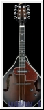 Ibanez M510E-DVS Mandoline