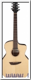 Ibanez  PA300E-NSL Akustikgitarre 6 String - Natural Satin Top  