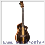 Ortega RTP-LTD TourPlayer Series 4/4 Nylonsaitengitarre 6-String