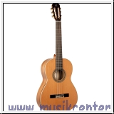 ORTEGA R20GRG Traditional Series 4/4 Nylon String Guitar 6-Strin