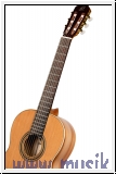 ORTEGA R20GRG Traditional Series 4/4 Nylon String Guitar 6-Strin