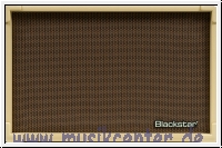 BLACKSTAR A-Gitarrencombo, Acoustic:Core, 30W, 2 x 5