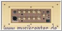 BLACKSTAR A-Gitarrencombo, Acoustic:Core, 30W, 2 x 5