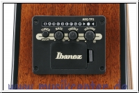 IBANEZ AAM100E NT Advanced Acoustic AAM Akustikgitarre 6-String 