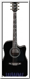 Ibanez AW391RCE-BKH Artwood AW Akustikgitarre 6-String - Black T