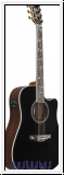 Ibanez AW391RCE-BKH Artwood AW Akustikgitarre 6-String - Black T