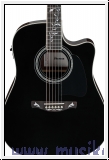 Ibanez AW391RCE-BKH Artwood AW Akustikgitarre 6-String - Black T