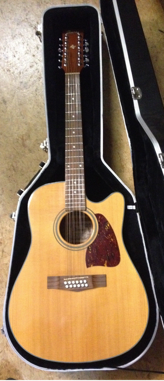 Ibanez AW-6012 CE Natur mit Koffer 12 String Western
